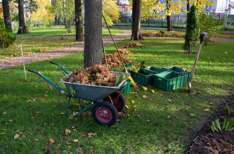 Leaf Clearing Benefits