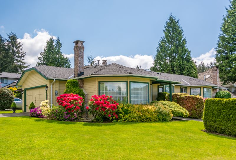 Landscape Renovation