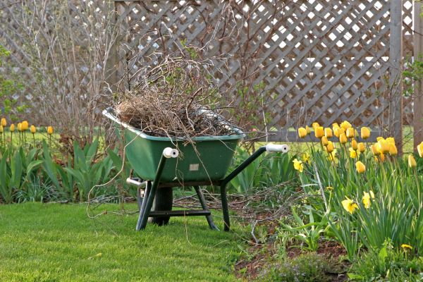 Flower Bed Cleanup Service in Hattiesburg