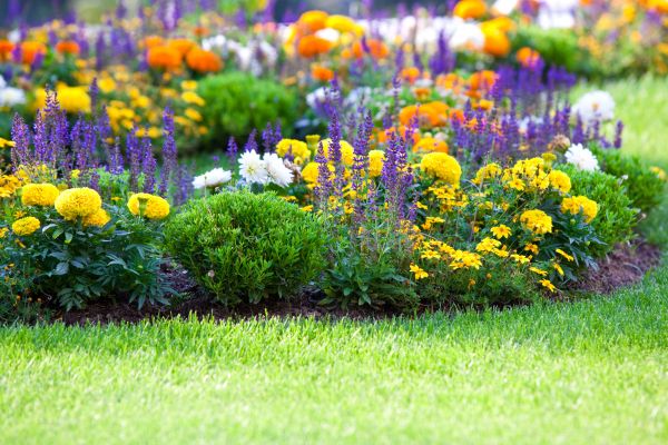 Flower Bed Maintenance in Hattiesburg