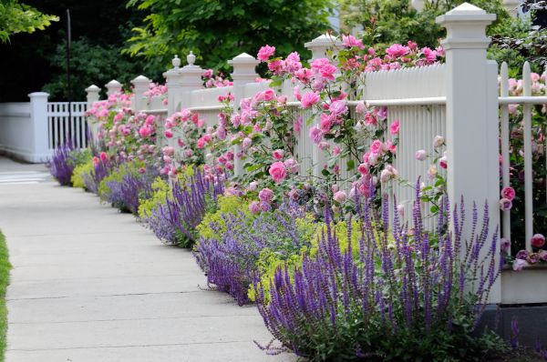 Garden Handyman Service in Hattiesburg