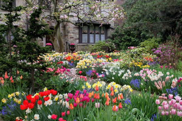 Garden Maintenance Service in Hattiesburg