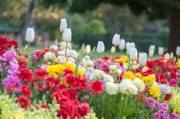 Gardening Service in Hattiesburg