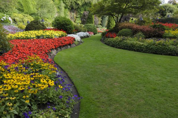 Landscaping Maintenance in Hattiesburg