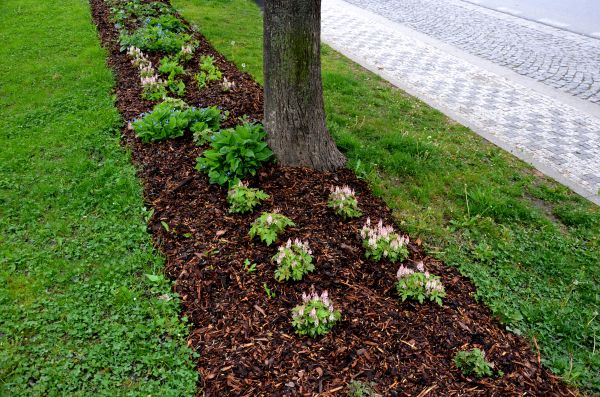 Mulch Replacement Service in Hattiesburg