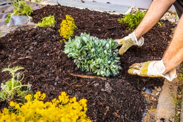 Weeding And Mulching in Hattiesburg