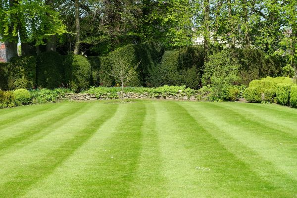 Lawn Renovation in Hattiesburg