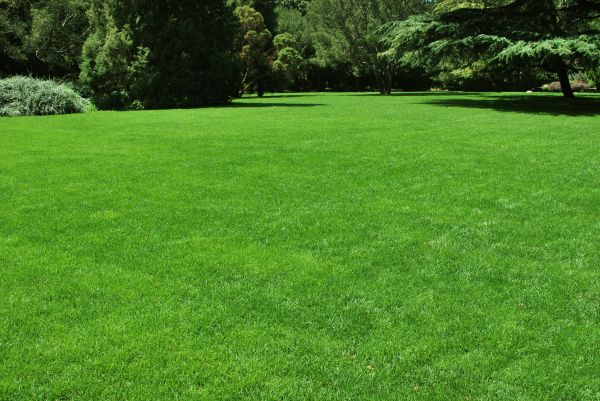 Lawn Landscaping in Hattiesburg