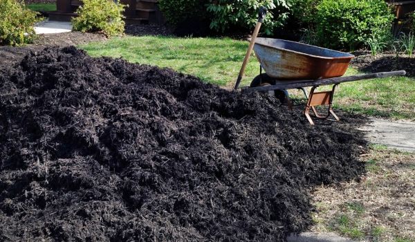 Black Mulch Delivery in Hattiesburg