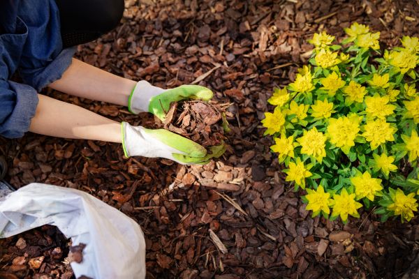 Garden Mulching in Hattiesburg