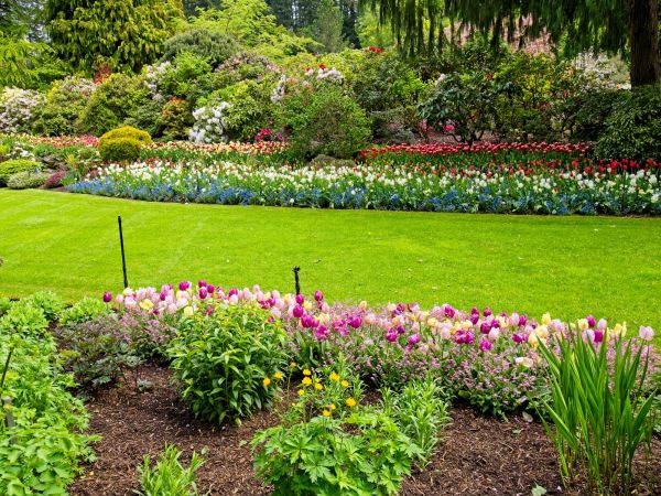 Residential Landscape Design in Hattiesburg
