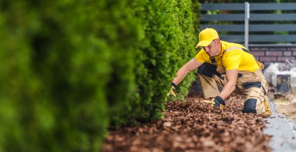 Cypress Mulch Installation in Hattiesburg