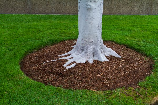 Brown Mulch Installation in Hattiesburg
