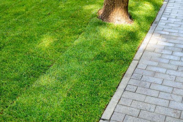 Border Stone Installation in Hattiesburg