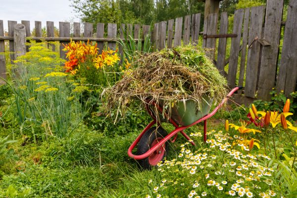 Garden Cleanup Service in Hattiesburg