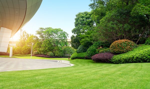 Business Landscape Design in Hattiesburg