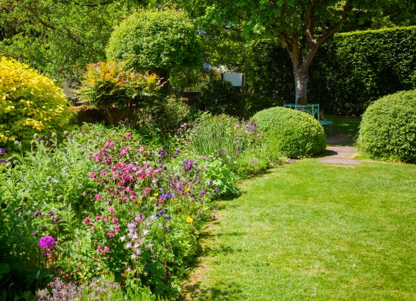 Yard Landscaping Service in Hattiesburg