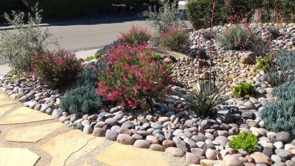 Xeriscape Landscaping in Hattiesburg