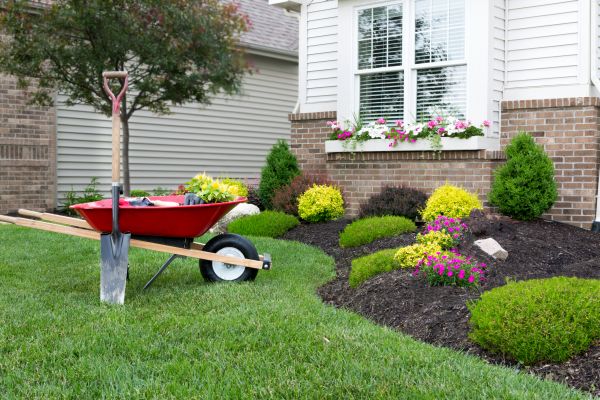 Tree And Shrub Planting in Hattiesburg