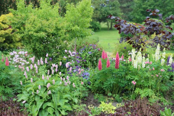 Flower Bed Planting in Hattiesburg