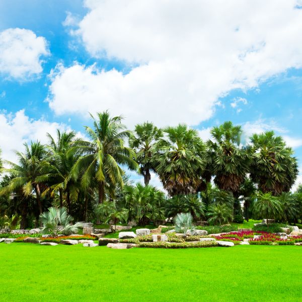 Tropical Landscaping in Hattiesburg