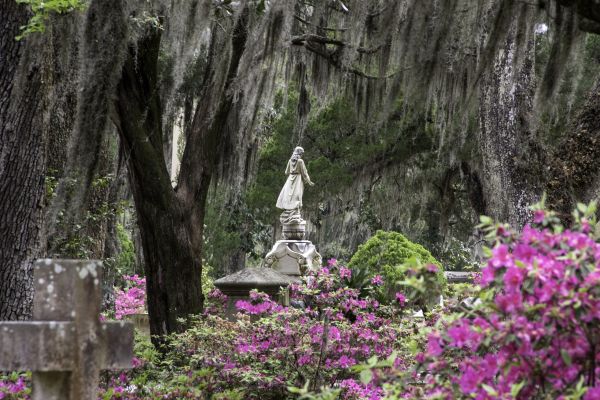 Cemetery Landscaping in Hattiesburg