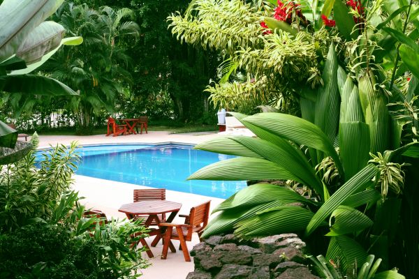 Tropical Garden Landscaping in Hattiesburg