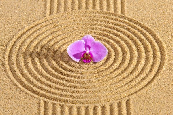 Sand Garden Landscaping in Hattiesburg