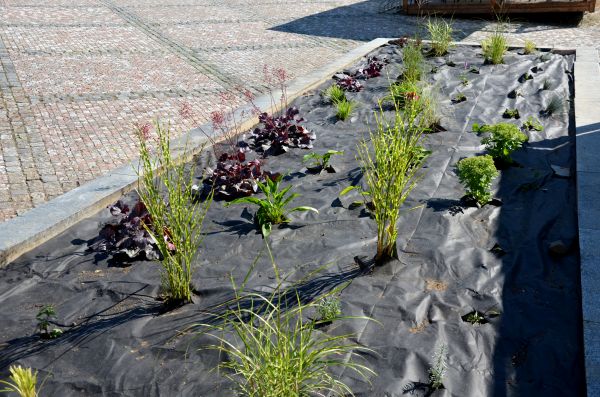 Landscape Fabric Installation in Hattiesburg