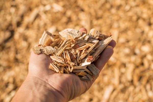 Wood Chips Spreading in Hattiesburg