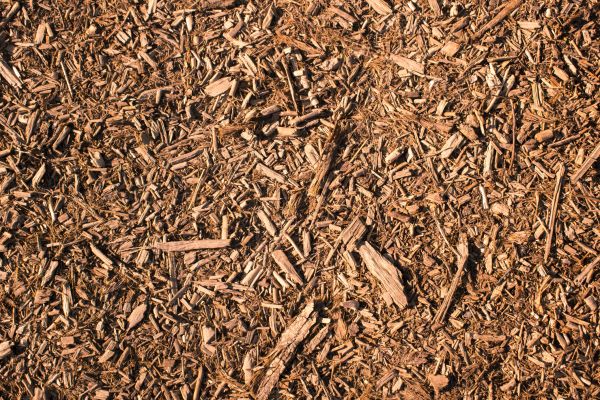 Wood Chips Removal in Hattiesburg