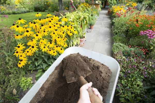 Topsoil Replacement in Hattiesburg