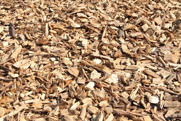 Wood Mulch Delivery in Hattiesburg