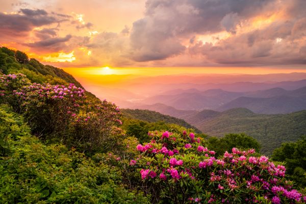 Hill Landscaping in Hattiesburg