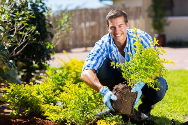 Shrub Landscaping in Hattiesburg
