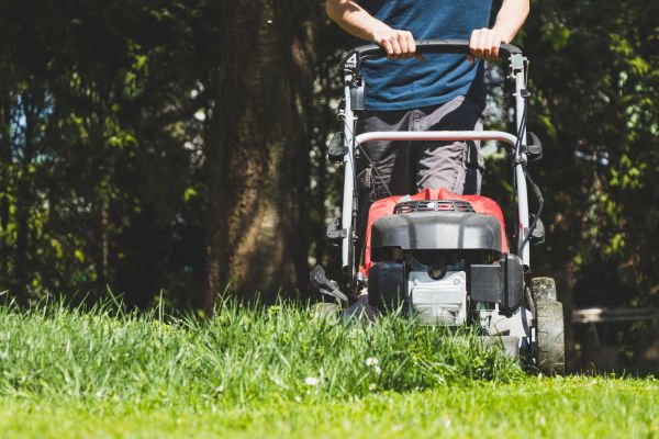 Garden Trimming Service in Hattiesburg