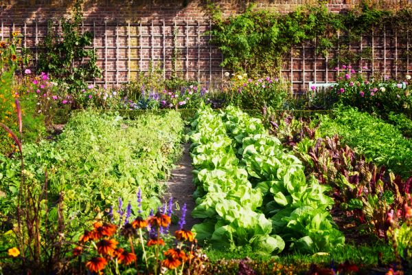Garden Planting Service in Hattiesburg