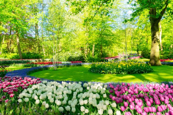 Flower Landscaping in Hattiesburg