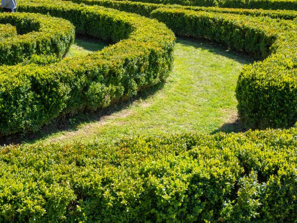 Bush Landscaping in Hattiesburg