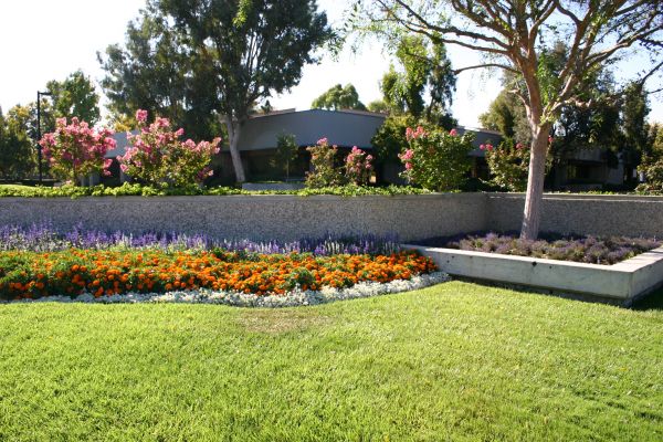 Commercial Landscape Service in Hattiesburg