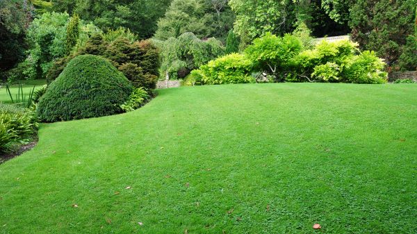 Commercial Landscape Design in Hattiesburg