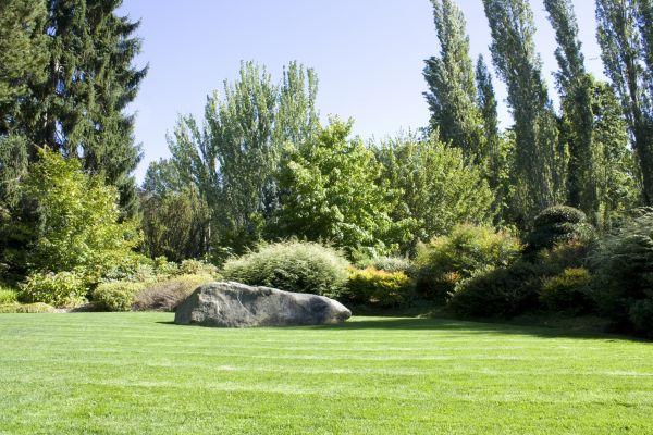 Yard Enlargement in Hattiesburg