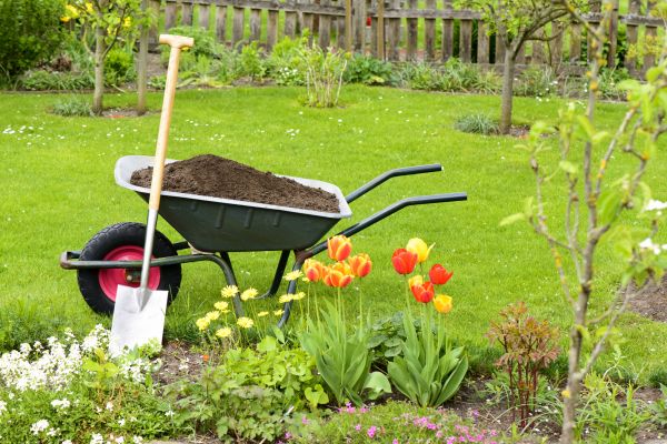 Spring Yard Renovation in Hattiesburg