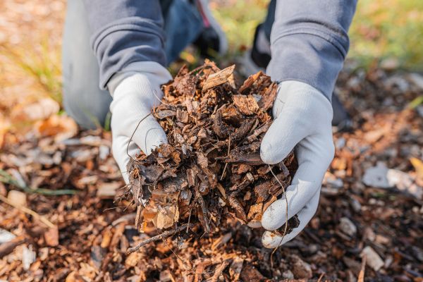 Shredded Mulch Installation in Hattiesburg