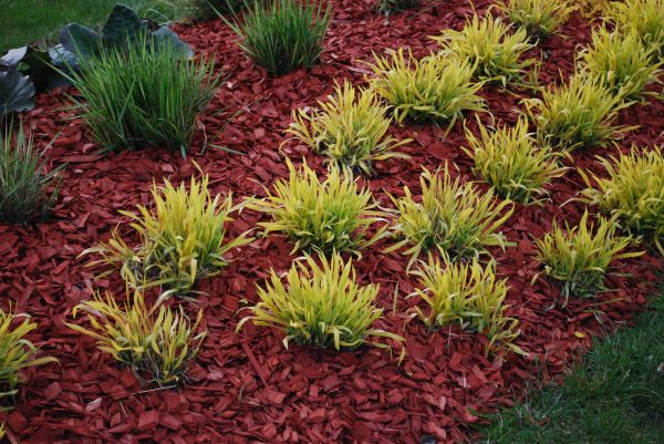 Red Mulch Installation in Hattiesburg
