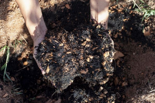 Organic Mulch Installation in Hattiesburg
