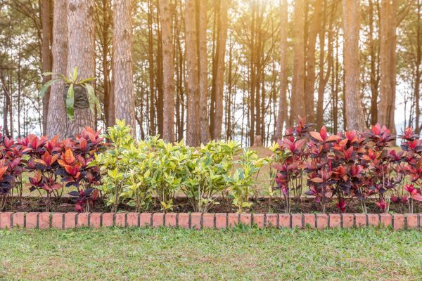 Small Garden Landscaping in Hattiesburg