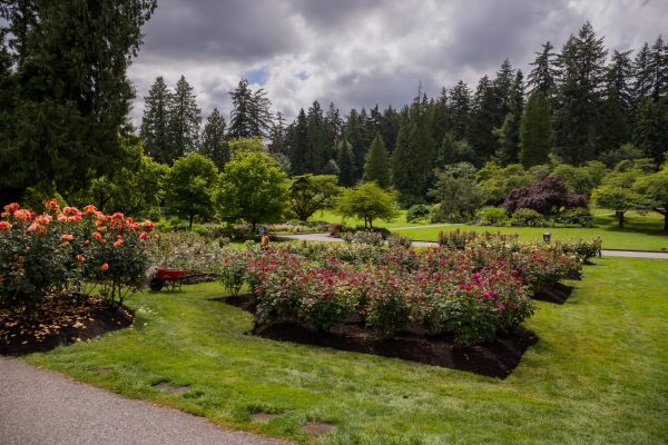 Flower Garden Landscaping in Hattiesburg