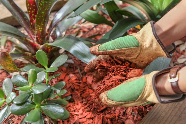 Residential Mulching in Hattiesburg