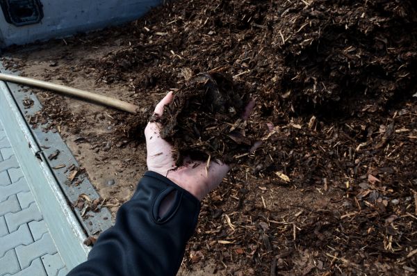 Condo Mulching in Hattiesburg